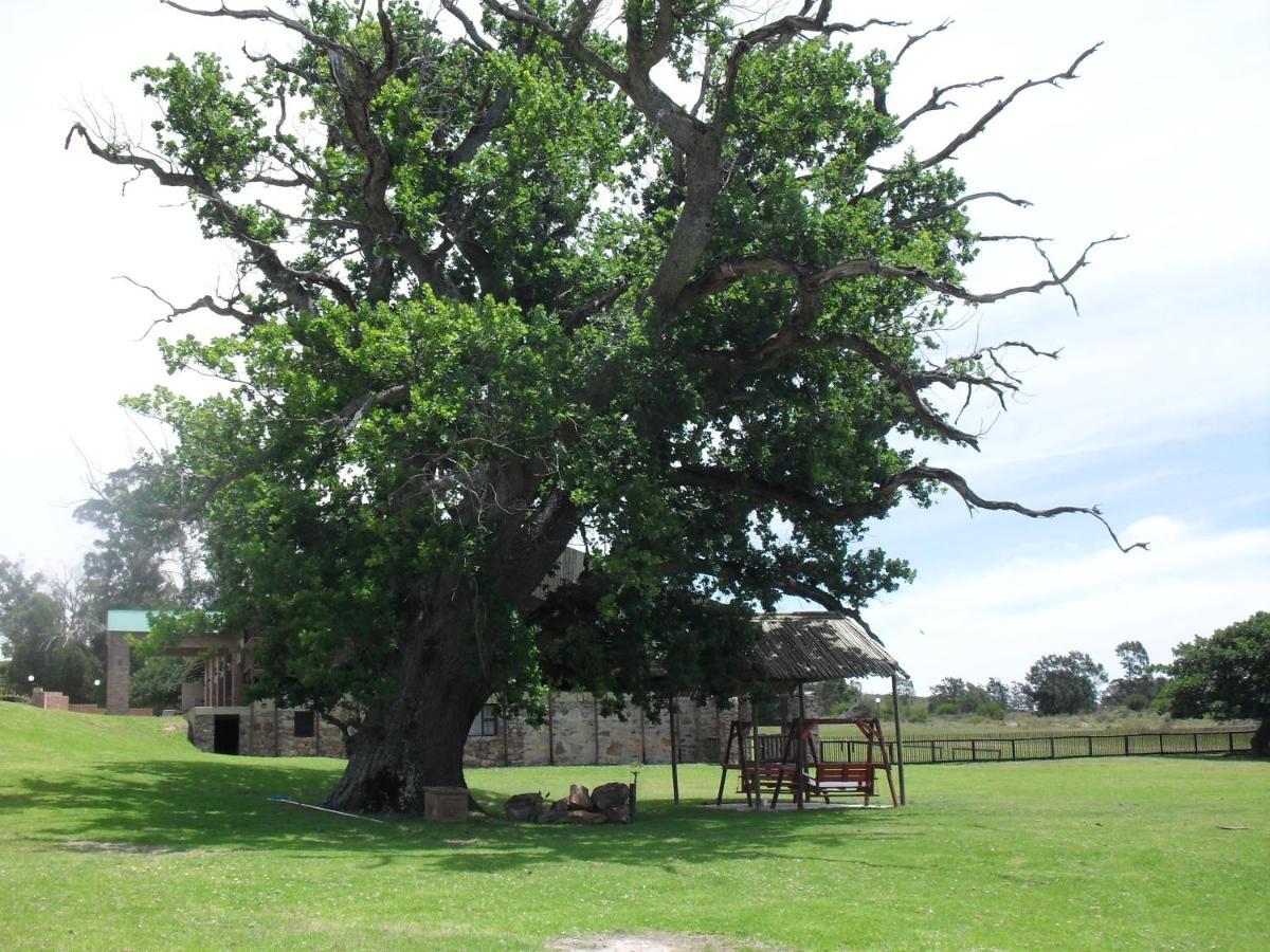 Soloko Game Farm Vila Kareedouw Exterior foto